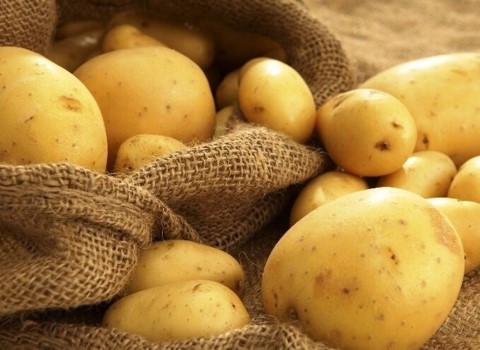 تصویر 3 از خرید و قیمت سیب زمینی تازه جیرفت + فروش صادراتی